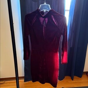Elegant Burgundy Velvet Dress